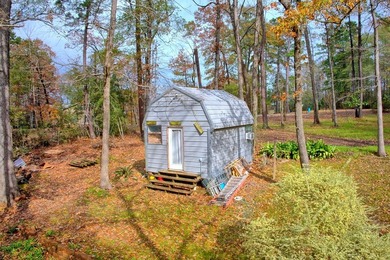 Toledo Bend Waterfront!! Nice camp/home sitting on a .85 acre - photo 22