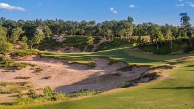 Premier Lakes Course Home Site! Sweeeeeet! Yes, you can have it - photo 24