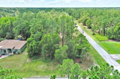 Lehigh Acres Area Lot For Sale in Lehigh Acres Florida
