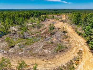 40.00 acres of recreational land located just northeast of - photo 12