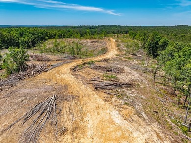 40.00 acres of recreational land located just northeast of - photo 13