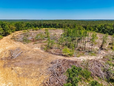 40.00 acres of recreational land located just northeast of - photo 14