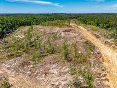40.00 acres of recreational land located just northeast of - photo 15