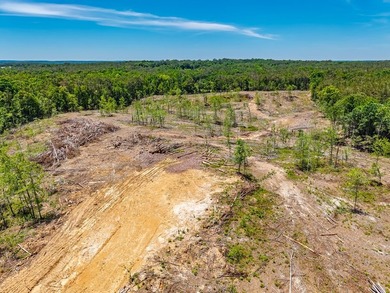40.00 acres of recreational land located just northeast of - photo 16