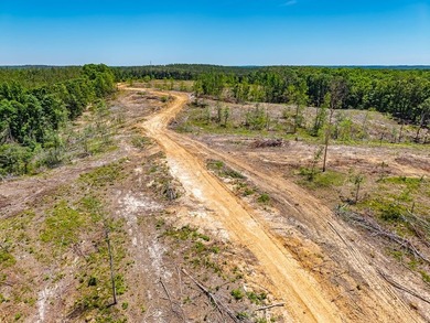 40.00 acres of recreational land located just northeast of - photo 17
