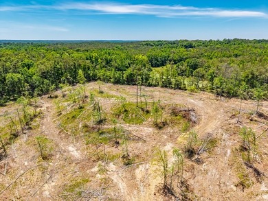 40.00 acres of recreational land located just northeast of - photo 18