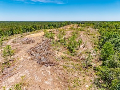 40.00 acres of recreational land located just northeast of - photo 20