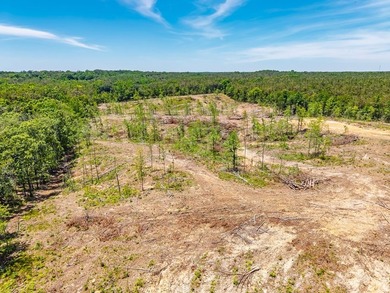 40.00 acres of recreational land located just northeast of - photo 22