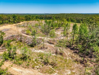 40.00 acres of recreational land located just northeast of - photo 23