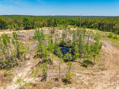 40.00 acres of recreational land located just northeast of - photo 24