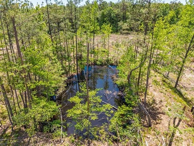 40.00 acres of recreational land located just northeast of - photo 25
