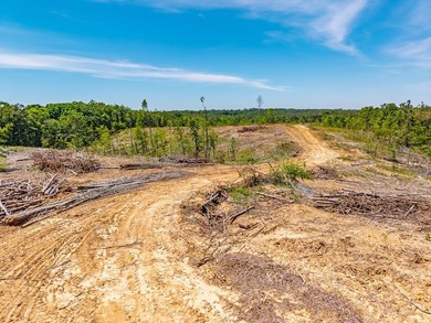 40.00 acres of recreational land located just northeast of - photo 26