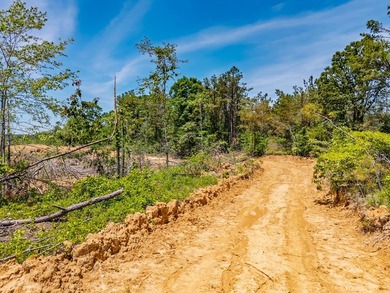 40.00 acres of recreational land located just northeast of - photo 29