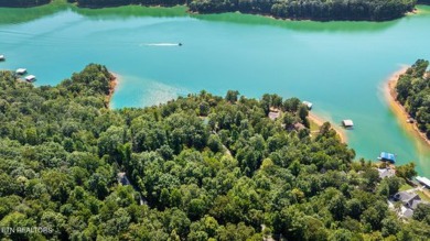 Norris Lake Acreage Sale Pending in Lafollette Tennessee