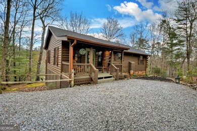 Lake Home For Sale in Blue Ridge, Georgia