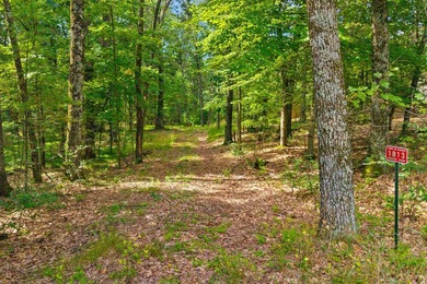 Rare opportunity to own two adjoining 1-acre lots in Kennedy - photo 13