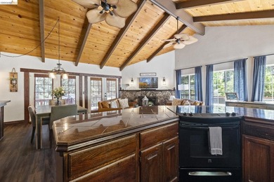 Lakefront Retreat at Pine Mountain Lake - Steps from the Marina! - photo 15