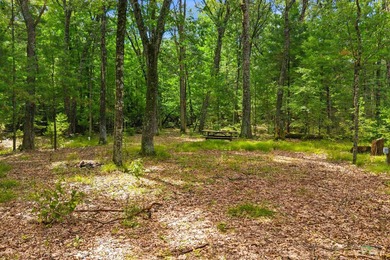 Rare opportunity to own two adjoining 1-acre lots in Kennedy - photo 15