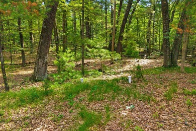 Rare opportunity to own two adjoining 1-acre lots in Kennedy - photo 16