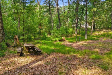 Rare opportunity to own two adjoining 1-acre lots in Kennedy - photo 17