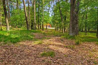 Rare opportunity to own two adjoining 1-acre lots in Kennedy - photo 18
