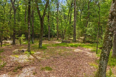 Rare opportunity to own two adjoining 1-acre lots in Kennedy - photo 20