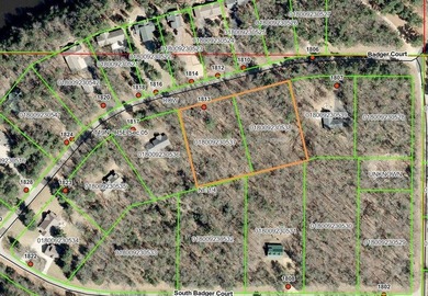 Rare opportunity to own two adjoining 1-acre lots in Kennedy - photo 21