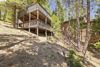 Lakefront Retreat at Pine Mountain Lake - Steps from the Marina! - photo 29
