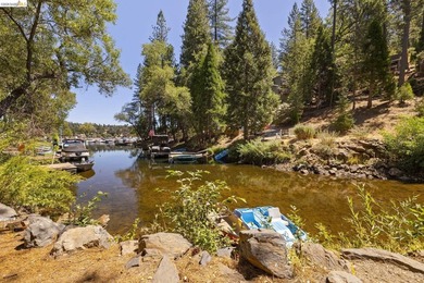 Lakefront Retreat at Pine Mountain Lake - Steps from the Marina! - photo 30