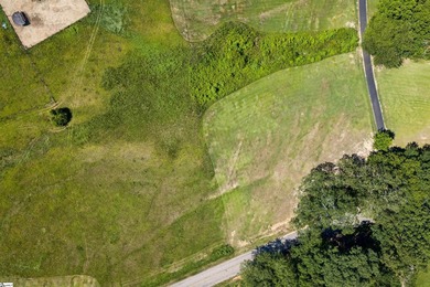 Discover a rare riverfront sanctuary at 1210 Cooper Bridge Rd in - photo 31