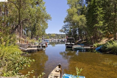 Lakefront Retreat at Pine Mountain Lake - Steps from the Marina! - photo 32