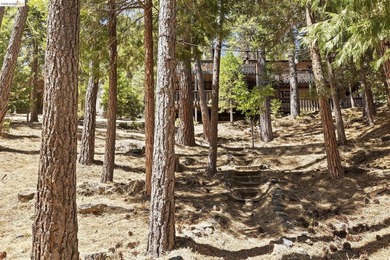 Lakefront Retreat at Pine Mountain Lake - Steps from the Marina! - photo 33