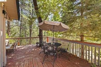 Lakefront Retreat at Pine Mountain Lake - Steps from the Marina! - photo 34
