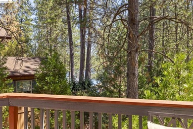 Lakefront Retreat at Pine Mountain Lake - Steps from the Marina! - photo 37