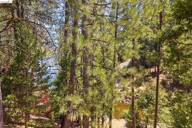 Lakefront Retreat at Pine Mountain Lake - Steps from the Marina! - photo 38