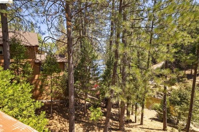 Lakefront Retreat at Pine Mountain Lake - Steps from the Marina! - photo 39