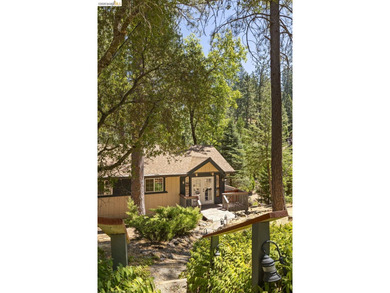 Lakefront Retreat at Pine Mountain Lake - Steps from the Marina! - photo 40