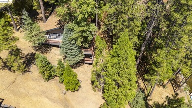 Lakefront Retreat at Pine Mountain Lake - Steps from the Marina! - photo 42