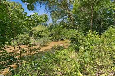 Discover a rare riverfront sanctuary at 1210 Cooper Bridge Rd in - photo 42