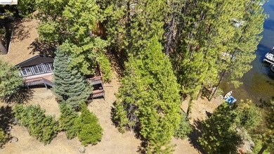 Lakefront Retreat at Pine Mountain Lake - Steps from the Marina! - photo 43
