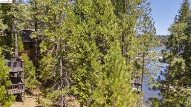 Lakefront Retreat at Pine Mountain Lake - Steps from the Marina! - photo 44
