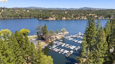 Lakefront Retreat at Pine Mountain Lake - Steps from the Marina! - photo 45