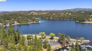 Lakefront Retreat at Pine Mountain Lake - Steps from the Marina! - photo 46