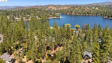 Lakefront Retreat at Pine Mountain Lake - Steps from the Marina! - photo 47