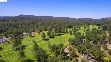 Lakefront Retreat at Pine Mountain Lake - Steps from the Marina! - photo 53