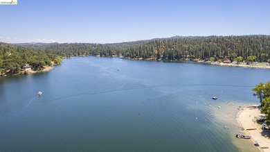 Lakefront Retreat at Pine Mountain Lake - Steps from the Marina! - photo 54