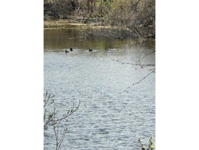 Lake LBJ Lot For Sale in Horseshoe Bay Texas