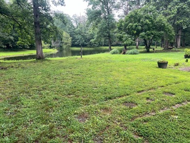 THIS PROPERTY IS BEING OFFERED THROUGH ONLINE AUCTION. The home - photo 8