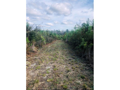 (private lake, pond, coastal) Acreage For Sale in Stockton AL