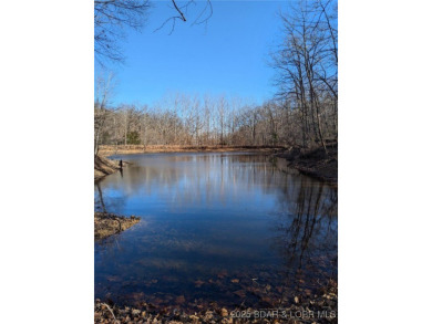 Lake Acreage For Sale in Gravois Mills, Missouri